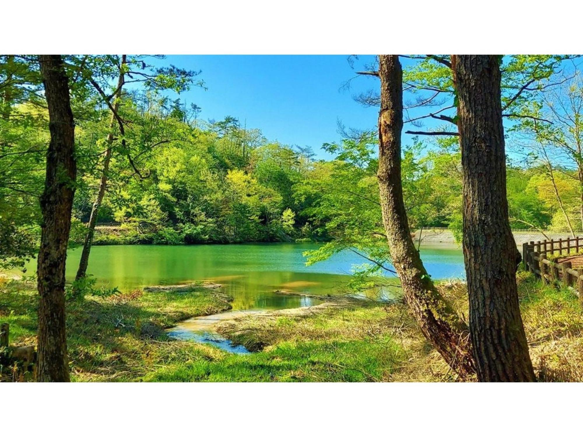 Ikoi No Mura Shimane Hotel Onan Eksteriør billede